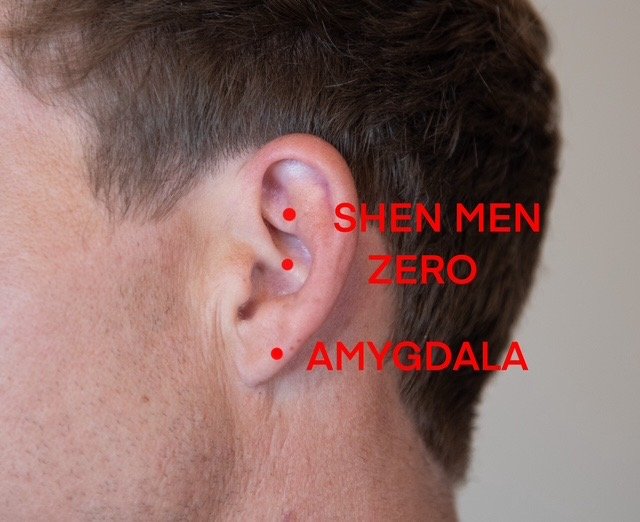 Educational image related to nervous system balance